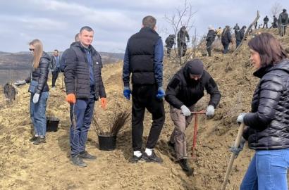 Academia „Stefan cel Mare” a MAl s-a alăturat iniţiativei naţionale de împădurire imagine 7