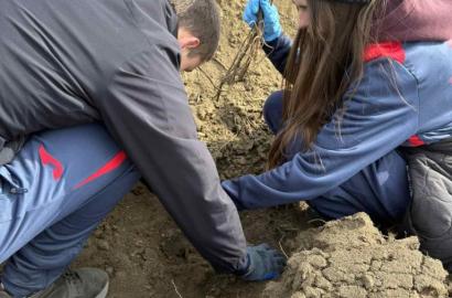 Academia „Stefan cel Mare” a MAl s-a alăturat iniţiativei naţionale de împădurire imagine 5