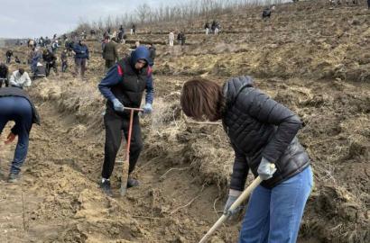 Academia „Stefan cel Mare” a MAl s-a alăturat iniţiativei naţionale de împădurire imagine 4