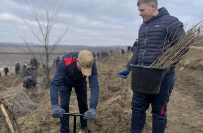 Academia „Stefan cel Mare” a MAl s-a alăturat iniţiativei naţionale de împădurire imagine 3