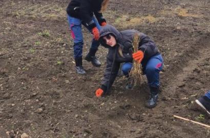 Generația Pădurii: Academia „Ștefan cel Mare” contribuie la crearea unei Moldove mai verzi imagine 5