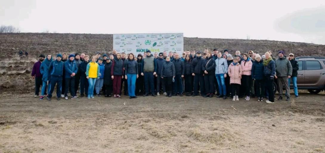 Academia „Stefan cel Mare” a MAl s-a alăturat iniţiativei naţionale de împădurire